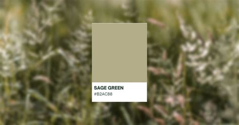 dark sage green hex code | HipFonts