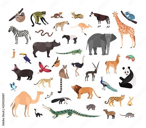 Collection of exotic wild animals isolated on white background. Bundle ...