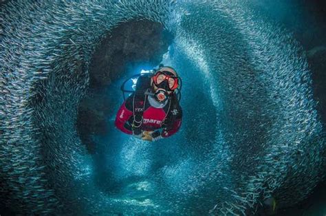 Check Out These Stunning Pictures Named Winners of Underwater ...