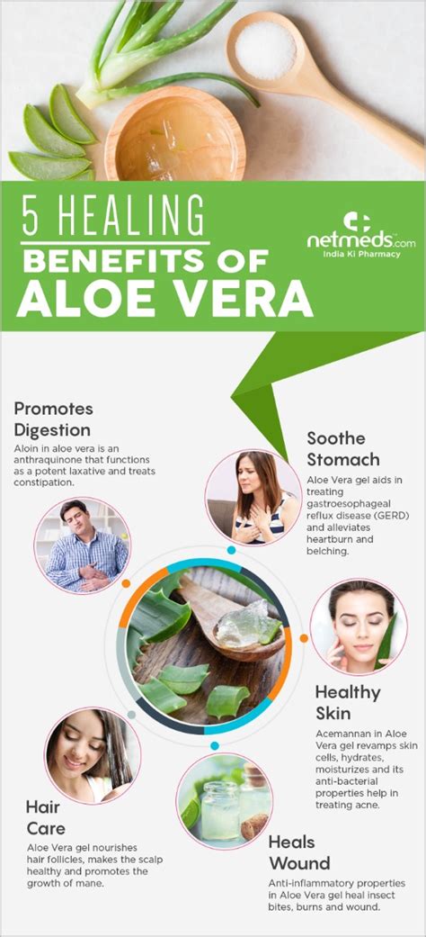 5 Surprising Health Benefits Of Aloe Vera Gel – Infographic | Netmeds