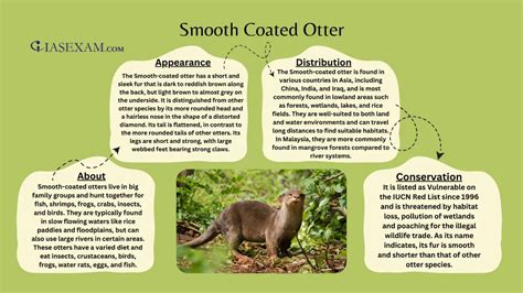 Smooth Coated Otter - IAS EXAM