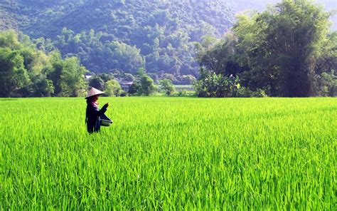 Mai Chau, the hidden Valley of Northern Vietnam - Amasia Travel