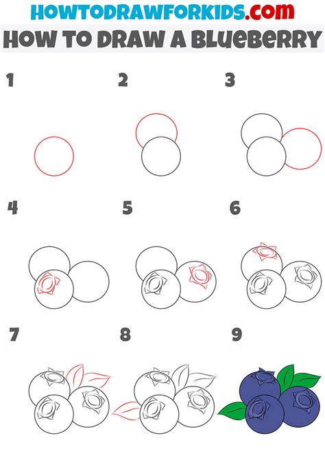 How to Draw a Blueberry - Easy Drawing Tutorial For Kids