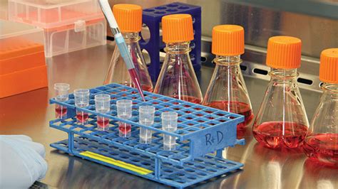 How Do Undefined Components in Cell Culture Media Impact Your Research ...