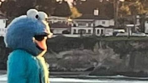 Guy named Adam Sandler, dressed as 'Cookie Monster,' prompts warning ...