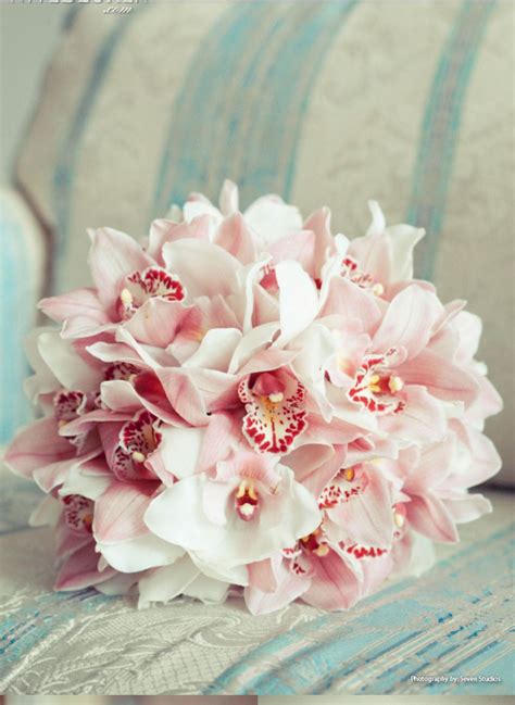 Beautiful orchids | Flower bouquet wedding, Orchid bouquet wedding ...