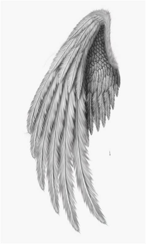 Drawing Clip Art - Realistic Angel Wings Drawing, HD Png Download - kindpng