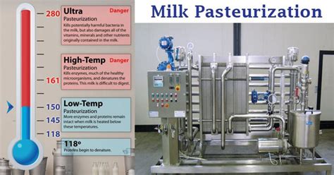 Milk Pasteurization- Definition, Methods, Steps, Significance