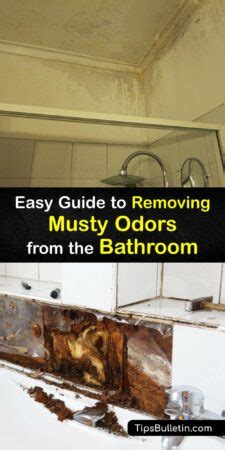 Musty Smells in the Bathroom - Clever Ideas for Odor Removal