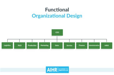 17 Types of Organizational Design and Structures - AIHR