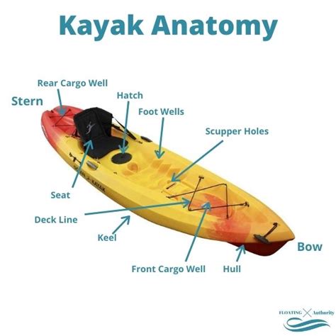 Canoe vs Kayak: What are the Differences and Which to Choose