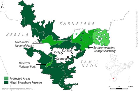 Tiger Deaths Raise Concerns in Nilgiris Biodiversity