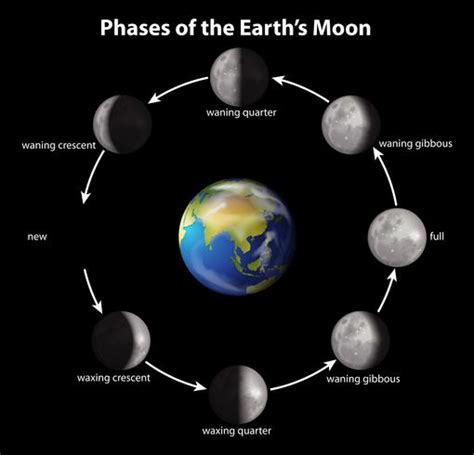 Phases of the Earth's Moon 299330 Vector Art at Vecteezy