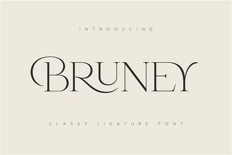 25 Best Modern Fonts for Logo and Branding Design Ideas