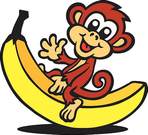 Monkey Banana Clip Art, Vector Images & Illustrations - iStock