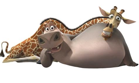 Image - Melman-and-Gloria.jpg - Madagascar Wiki