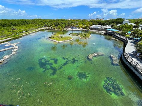 Florida Oceanographic Coastal Center - Stuart, Fl. – All Around the Bend