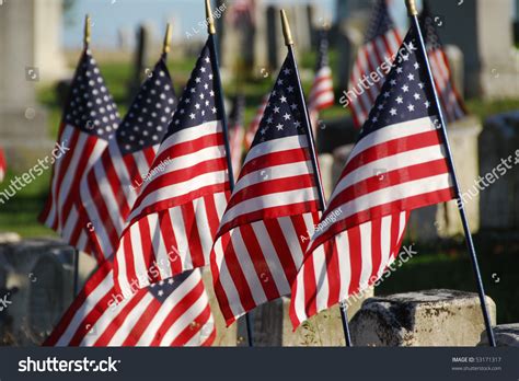 Flags In Veterans Cemetery Stock Photo 53171317 : Shutterstock