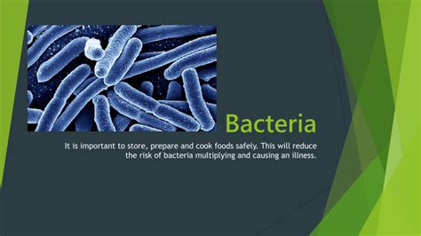 Bacteria - food safety