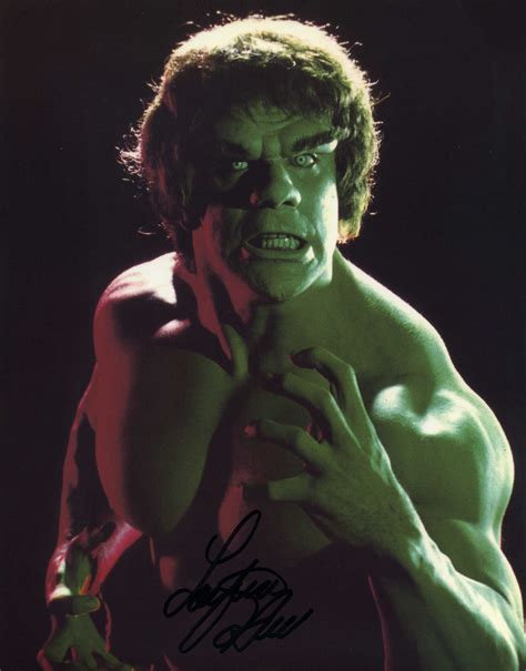 Hulk, lou ferrigno | Hulk poster, The incredibles, Incredible hulk tv