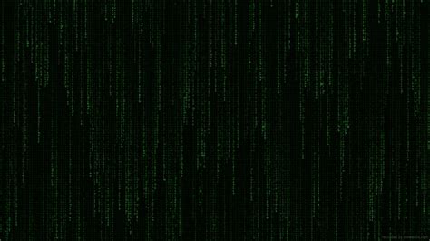 Matrix Code Rain Live Wallpaper - MoeWalls