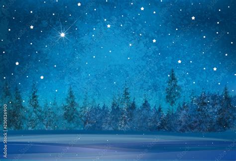 Vector winter wonderland background. Starry night sky and forest ...