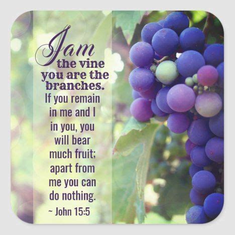 John 15:5 I Am the Vine You are the Branches Bible Square Sticker ...