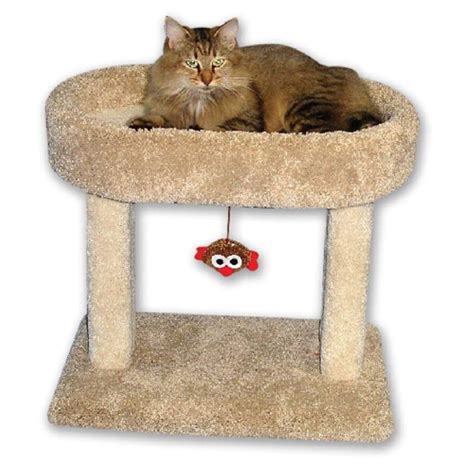 Beatrise Pet Products 21-in Cat Tree & Condo Scratching Post Tower ...