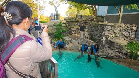 Aquarium of Niagara in Niagara Falls, New York | Expedia