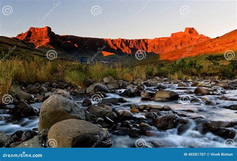 Drakensberg Amphitheatre Golden Sunrise Stock Image - Image of tugels ...