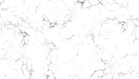 Gray and white marble texture 1427066 Vector Art at Vecteezy