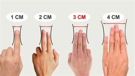 Pregnancy Dilation - Babiesplannet