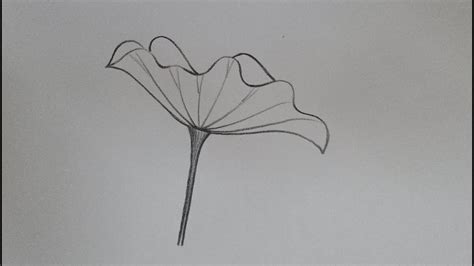 Aggregate more than 135 lotus with leaf drawing latest - seven.edu.vn