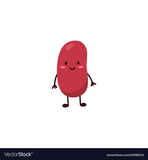 Cartoon Kidney Bean