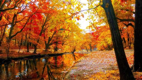 #autumn #fall #landscape #nature #tree #forest #leaf #lake #park #4K # ...