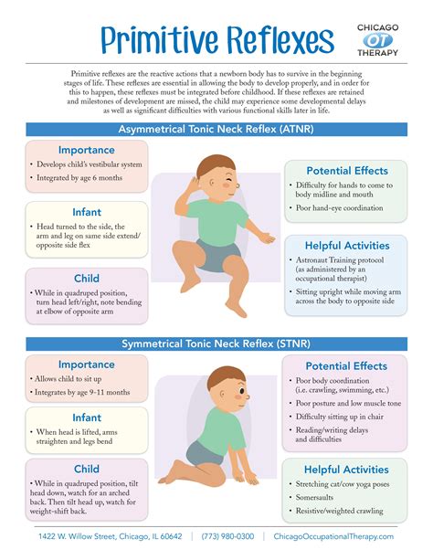 Occupational Therapy Infographic Sheets - Chicago Occupational Therapy ...