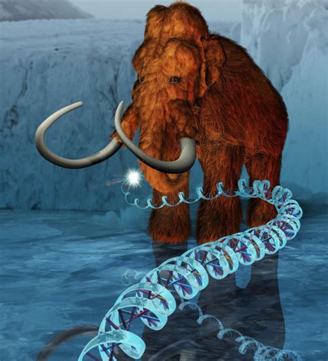 HoodedHawk » Mammoth DNA sequenced – from Ebay