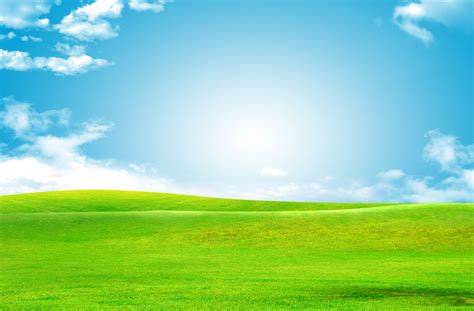 Sky Green Grass Background, Baiyun, Green, Grass Background Image And ...