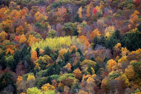 Fall foliage of New England - Tripoto