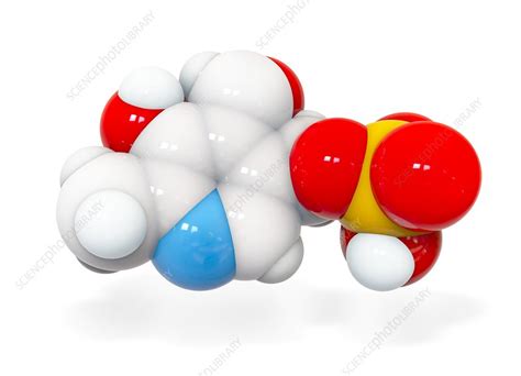 Pyridoxal phosphate molecule - Stock Image - C022/9971 - Science Photo ...