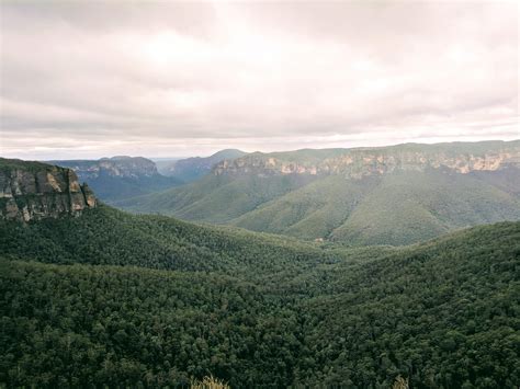 Blue Mountains National Park [4048, 3036] - Nature/Landscape Pictures