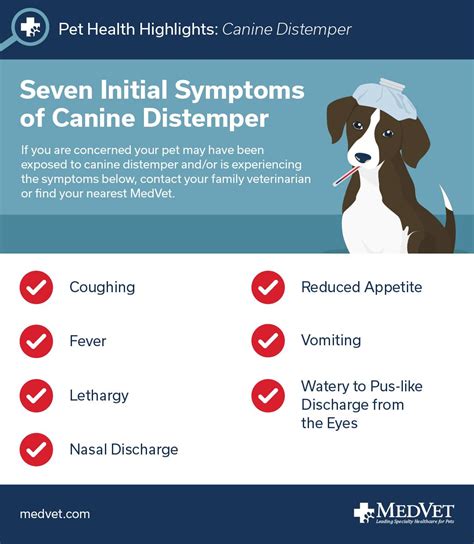 Symptoms of Canine Distemper