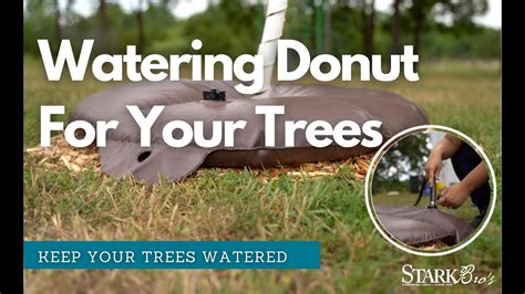 Tree Watering Ring for Young Trees - YouTube