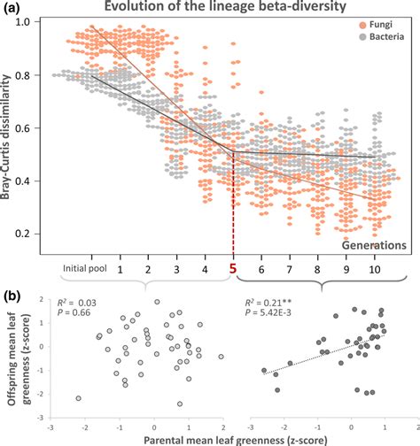 Evolution of the microbial beta diversity and the trait heritability ...