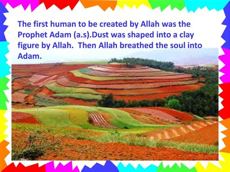 Stories of the Prophets *** Prophet Adam a.s. - ppt download