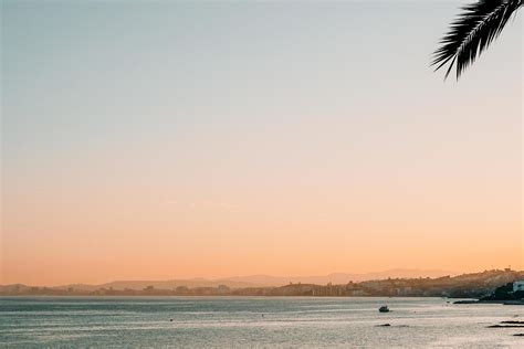 Silhouette of palm tree leaf and beach 1229386 Stock Photo at Vecteezy