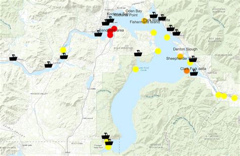 Tracking walleye in Lake Pend Oreille | Coeur d'Alene Press