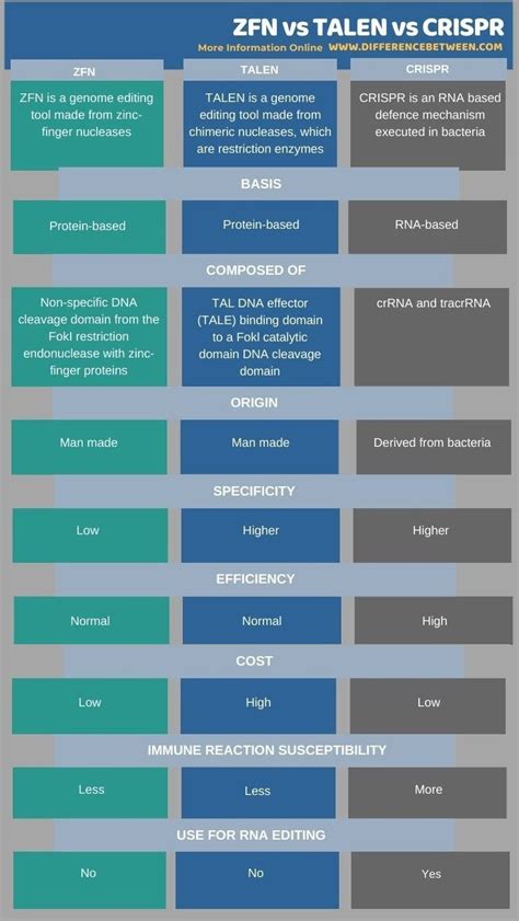 ZFN vs TALEN vs CRISPR - Tabular Form | Protein domain, Science rules ...