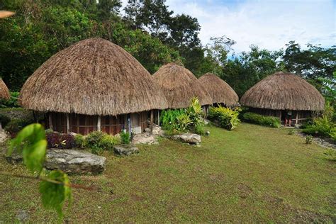 Baileo & Honai: Eco-Friendly Traditional Houses - EcoNusa