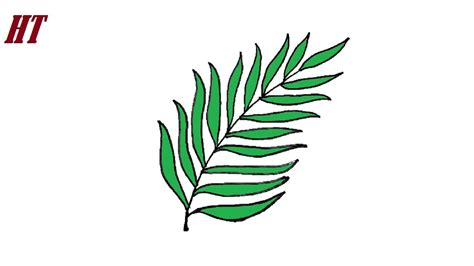 How to draw a fern leaf easy - YouTube